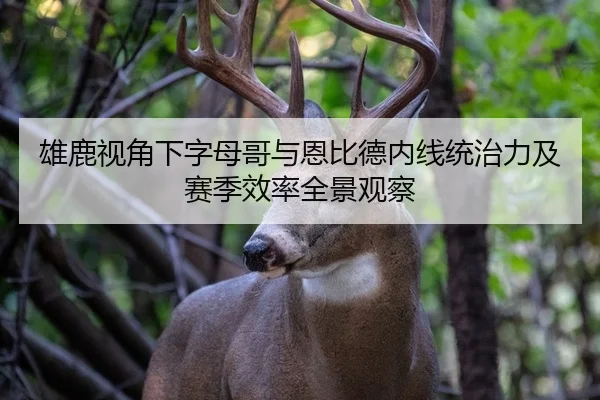 雄鹿视角下字母哥与恩比德内线统治力及赛季效率全景观察